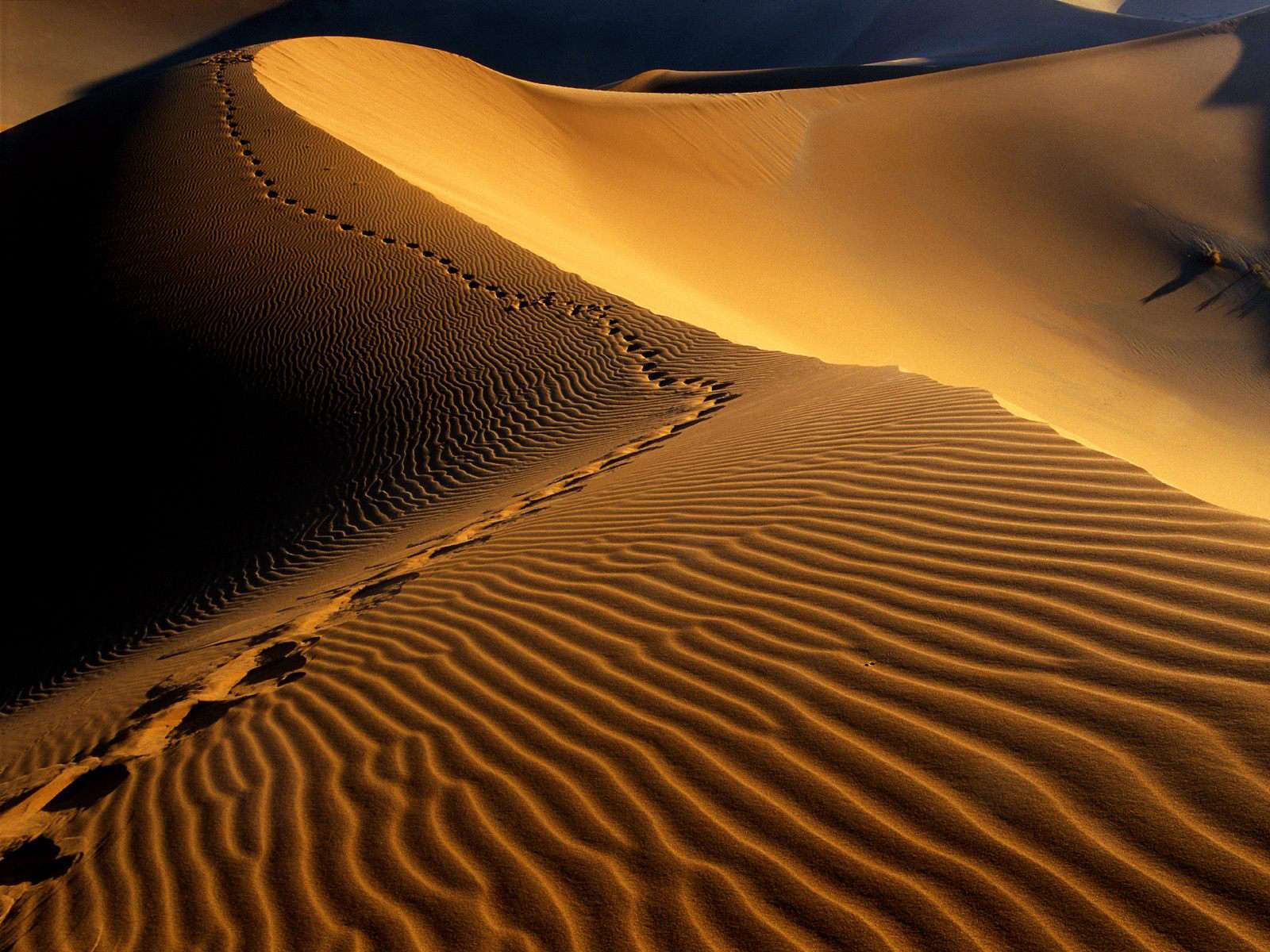 Maranjab Desert
