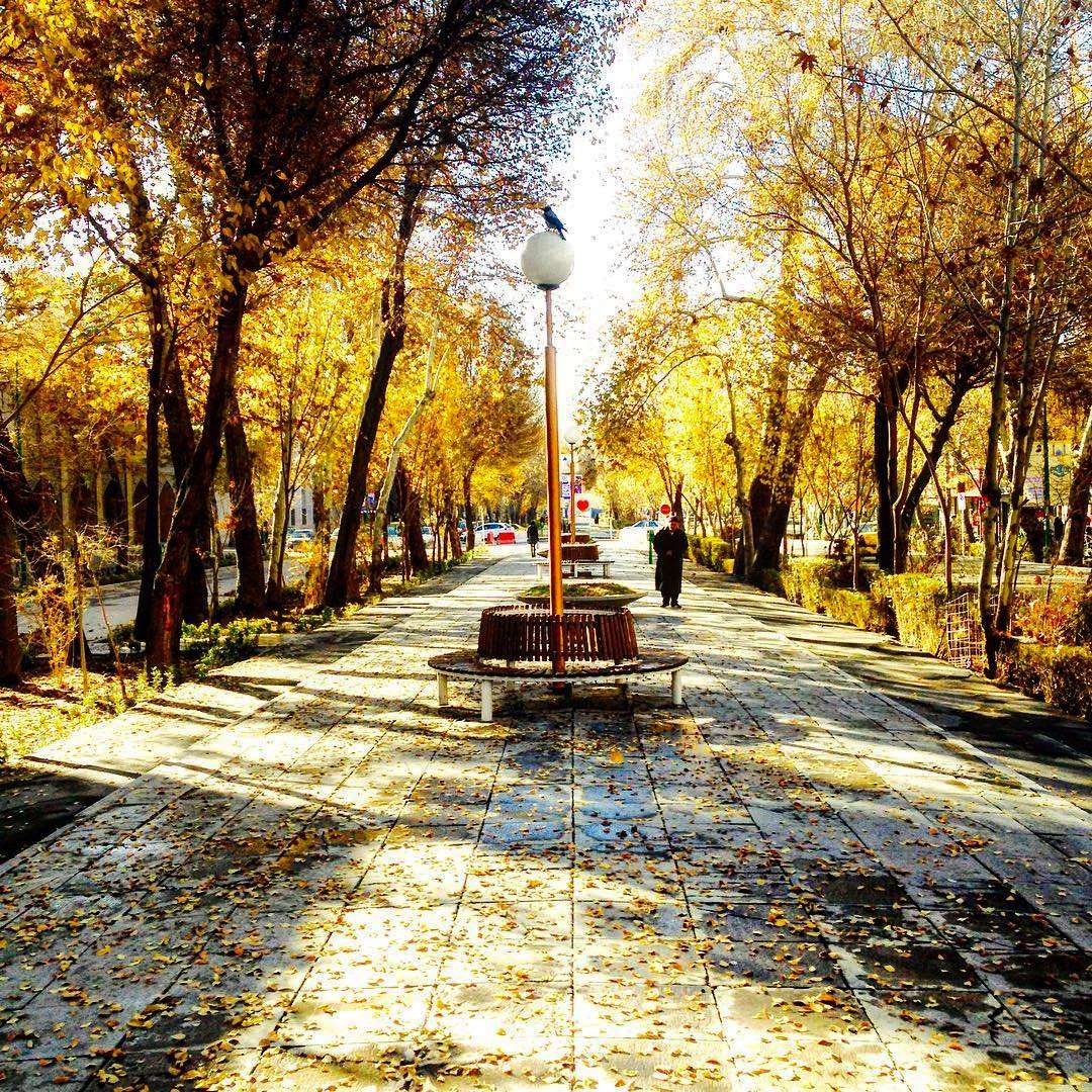 Amazing Walking Tour Through the Safavid Royal Promenade in Isfahan