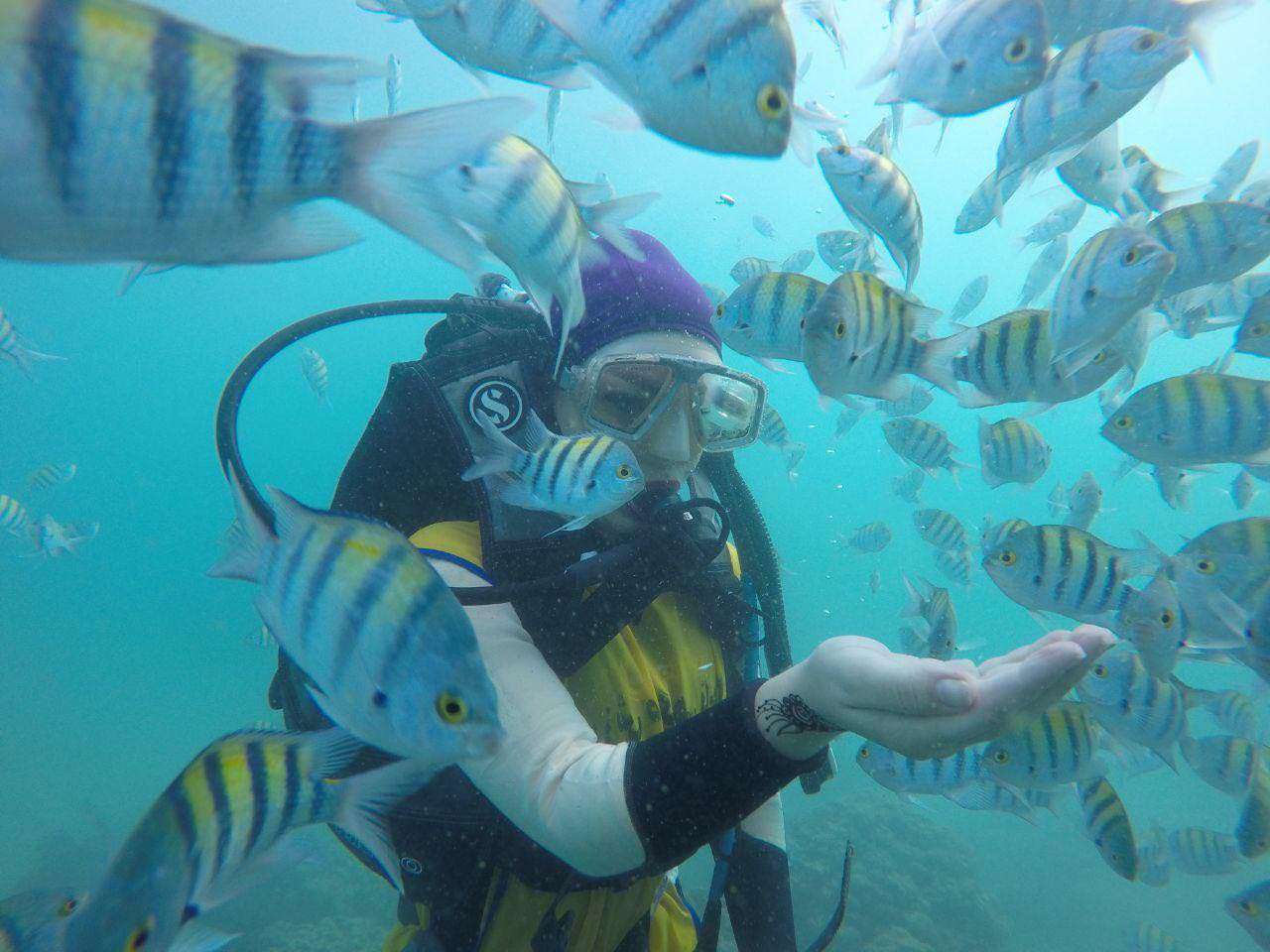 The Best Scuba Diving Destination in Persian Gulf: Try The Underwater Experience in Qeshm Island